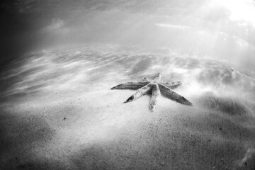 Seafloor shadows cradle lone star