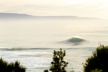 Gloomy swell in golden light