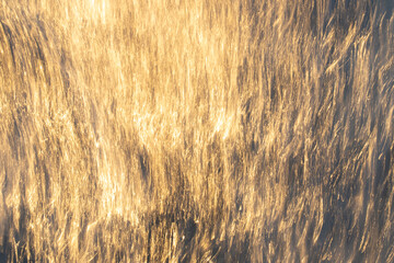 Light dances across liquid canvas