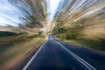 Blurred trees rush past adventure