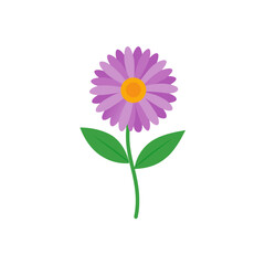 aster on white background  .svg