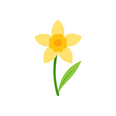 daffodil-on-white-background.svg