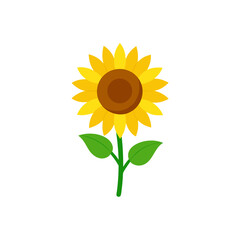 Obraz premium sunflower on white background.svg