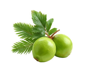 [Transparent Background PNG]Fresh Green Fruits with Leaves on White Background