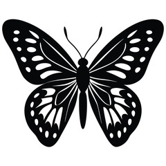 Black and white butterfly vector illustration on a white background, highlighting its beautiful wings and natural design