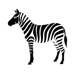 zebra vector illustration