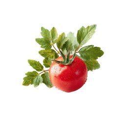 [Transparent Background PNG]Freshly Picked Cherry Tomato with Dew Drops