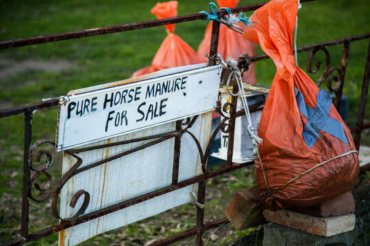 Orange bags of horse manure for sale on someones front lawn