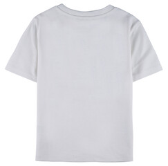 t shirt isolated on white