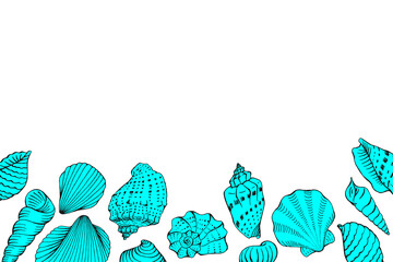 Seashells with copy space for design or message. Hand drawn illustration.