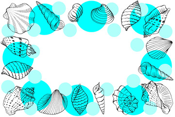 Frame with seashells. Hand drawn vector illustration.