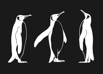 Set of penguin. Hand drawn vector illustration.