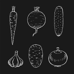 Set of vegetables. Onion, potato, garlic, cucumber, carrot, beet. Hand drawn vector illustration.