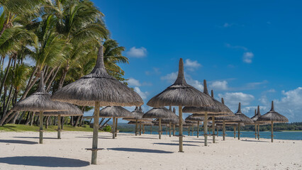 Rows of straw umbrellas on a sandy beach without people. Round shadows on white sand. Tall coconut palms against a background of blue sky and clouds. Mauritius. Resort.