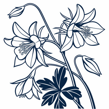 abstract floral background with white columbines