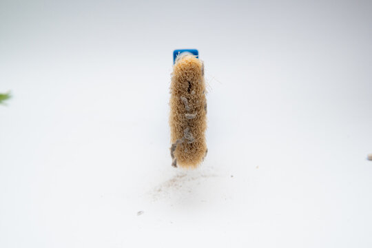 Photographic close-up of dirty cleaning brush with dust minimalist design for hygiene articles product ads or cleaning blogs everyday object style