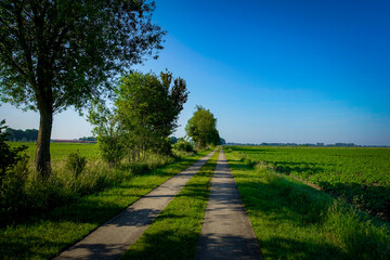 A long field path flanked by trees, surrounded by green fields under a clear blue sky. A field path in the Diepholz district, Lower Saxony, Germany