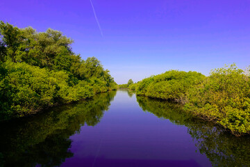 A tributary or river with lush greenery along its banks under a vibrant purple morning sky. The...
