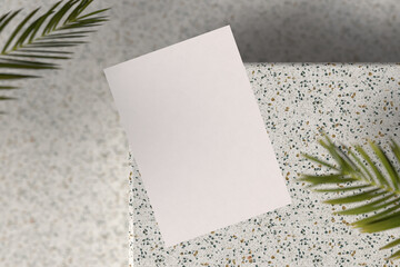 Simple A4 Paper Template with Botanical Shadow Effect
