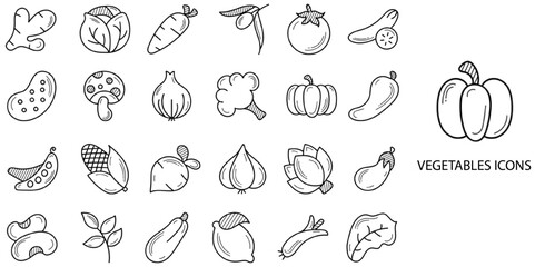 Vegetables simple New concept 24 hand drawn icons set .Vector illustration.