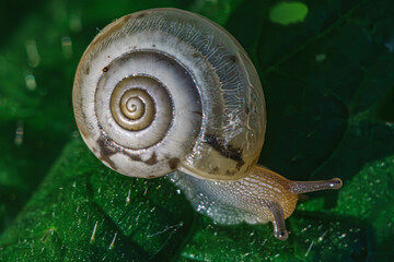 Summer morning photo sketches of nature
