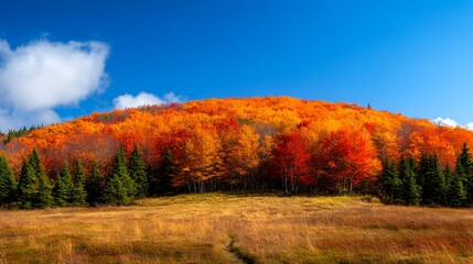 Fototapeta premium Panoramic view of the Skyline Trail in Cape Breton Highlands