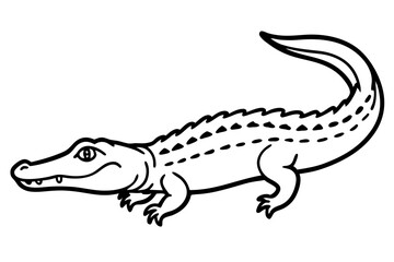 Crocodile Outline Illustration