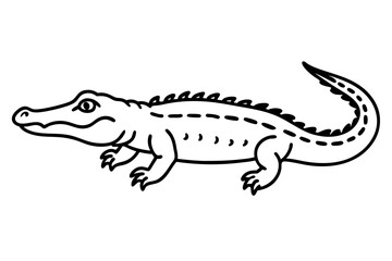 Crocodile Outline Illustration