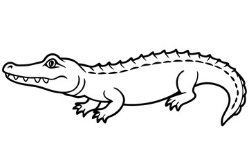 Crocodile Outline Illustration