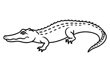 Crocodile Outline Illustration
