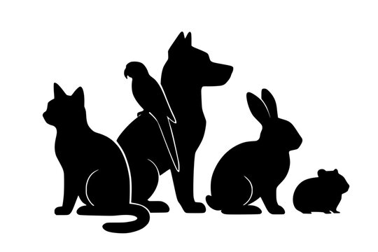 Various pets in silhouette including cat, dog, rabbit, and bird  