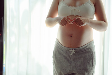 pregnant woman's belly.