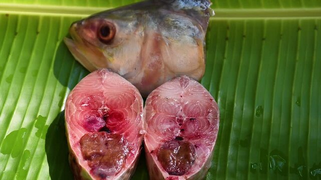 Some pieces of Hilsa fish on a green banana leaf for cooking in the kitchen