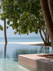 Serene tropical getaway with crystal clear water and palm trees overlooking the ocean