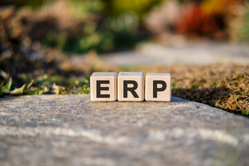 ERP - text on cubes standing on a stone on a natural background