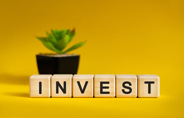 INVEST - business financial concept on a yellow background. Wooden cubes and flower in a pot.