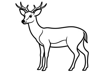 Minimalist Deer Line Art