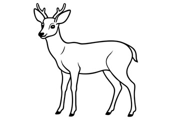 Minimalist Deer Line Art