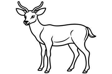 Minimalist Deer Line Art