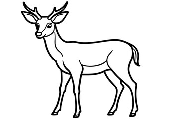 Minimalist Deer Line Art