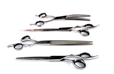 pair of scissors in studio