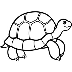Minimalist Tortoise Line Art