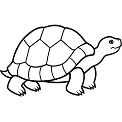 Minimalist Tortoise Line Art