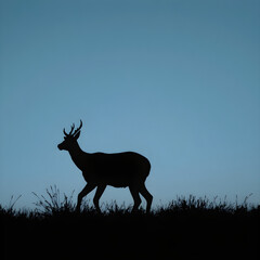 silhouette of a deer