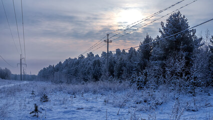 Dreamy Winter Landscape, snow and sun, surrounded by trees. Lapland, Christmas.