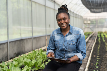 Cultivating vegetable plot. Vegetable growing in organic farm. Greenhouse vegetable farm. African...