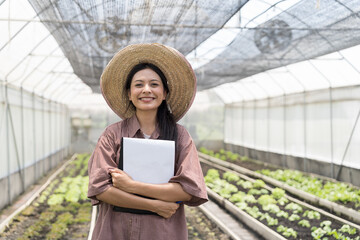 Cultivating vegetable plot. Vegetable growing in organic farm. Greenhouse vegetable farm. Portrait...