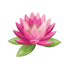 Pink water lily flower with green leaves illustration