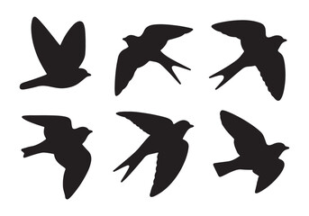 Black Bird Silhouettes in Various Flying Poses on White Background.
