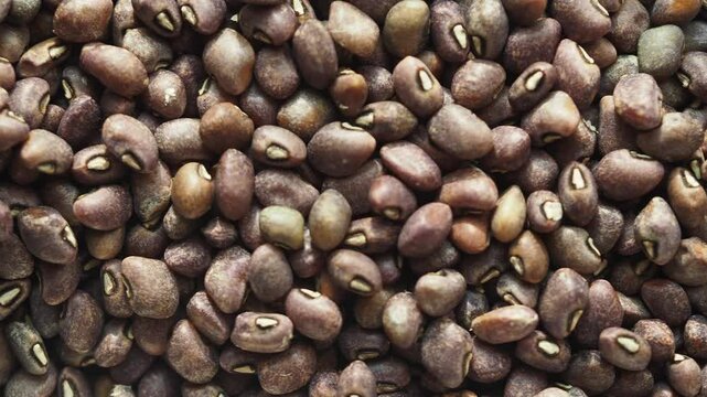 Close-up view of various beens on table ,